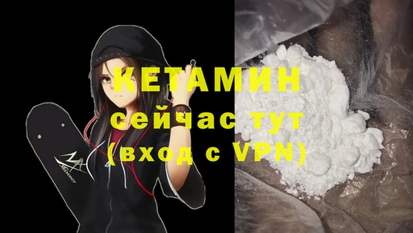 альфа пвп Заводоуковск