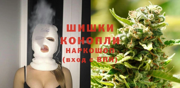 альфа пвп Заводоуковск
