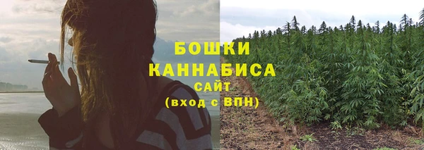 альфа пвп Заводоуковск