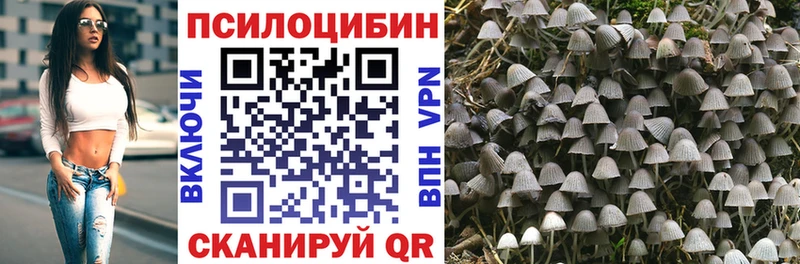 Галлюциногенные грибы GOLDEN TEACHER  Купить закладки  Лакинск 